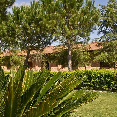 Fattoria San Lorenzo-3